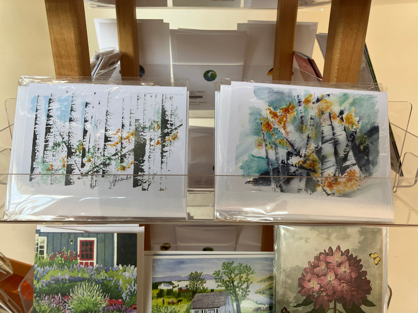 Birch Greeting Card - Linda Khandro