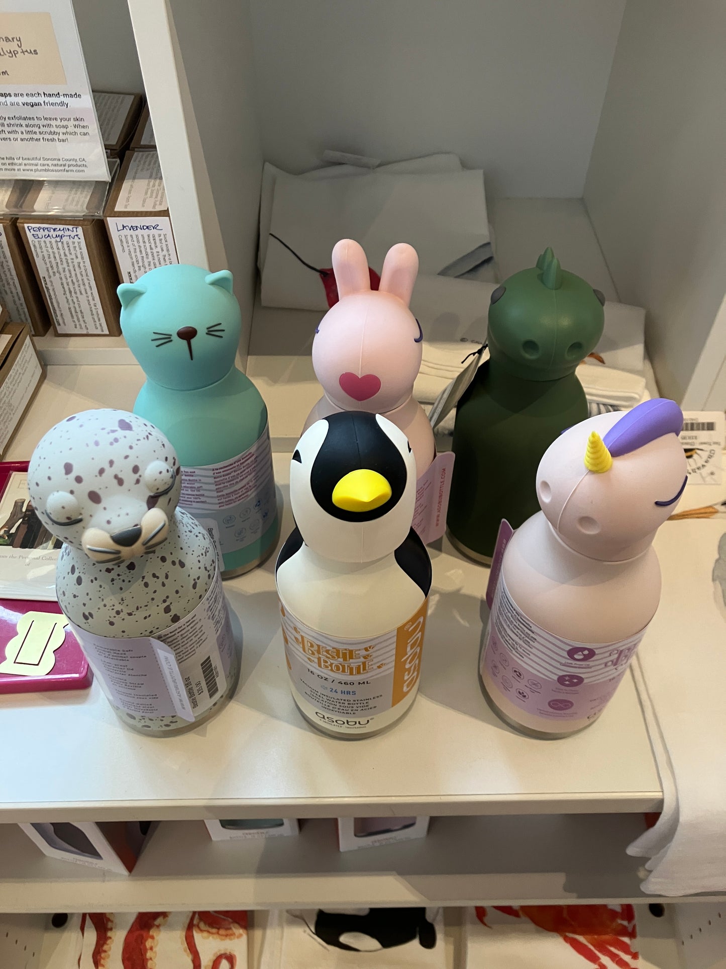 Bestie Bottle - 16 oz water bottle