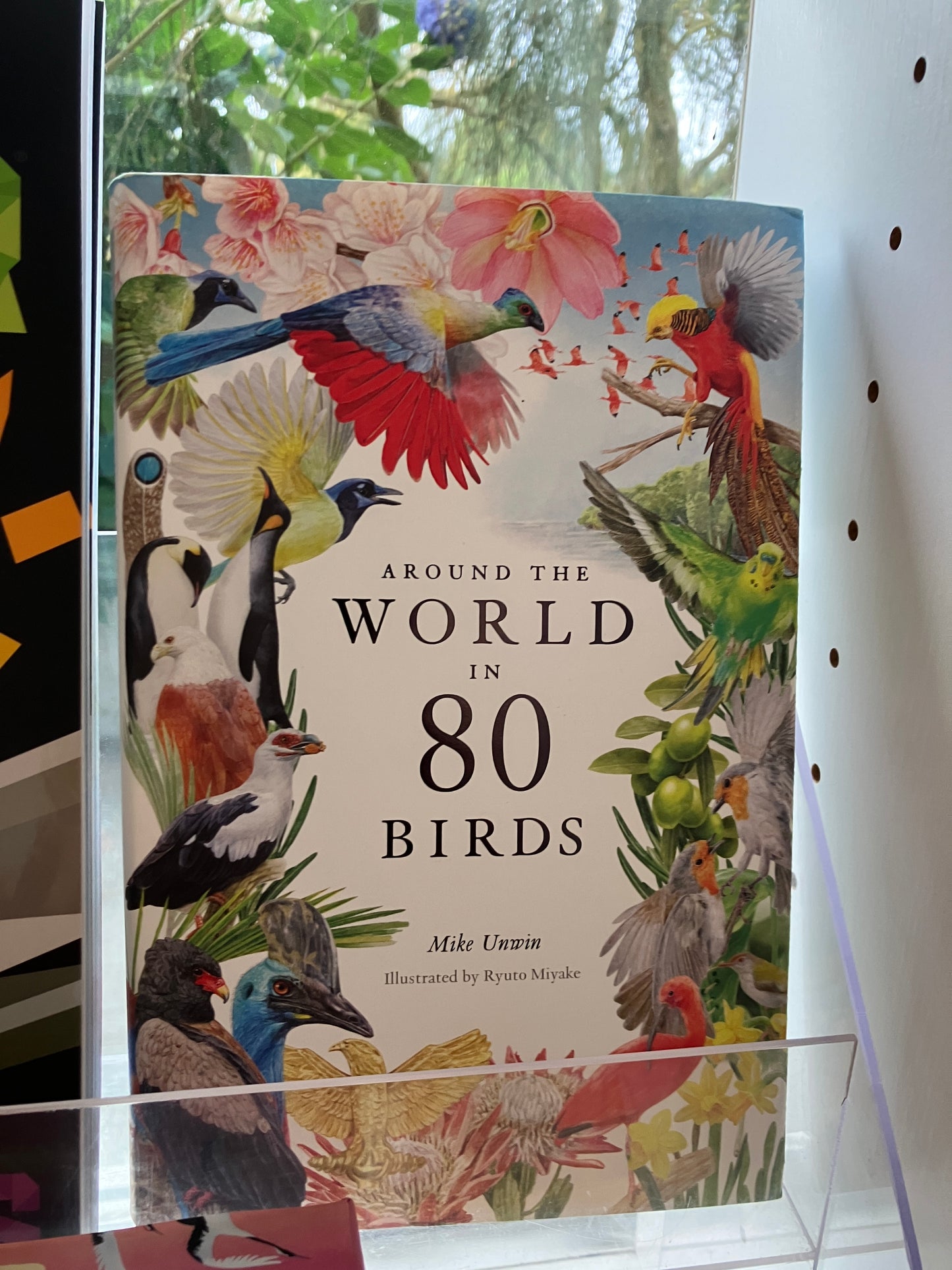 Around the World in 80 Birds