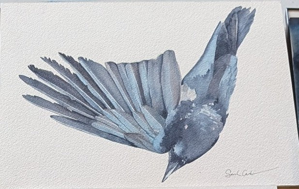 "Repose" (raven on board) 12" x 9" - Sarah Crumb