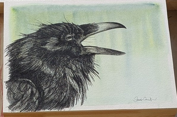 "Calling" (crow, watercolor on board) 11" x 14" - Sarah Crumb