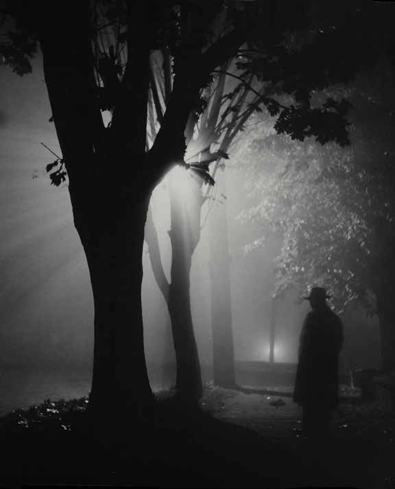 Chao-Chen Yang: Full Light and Perfect Shadow