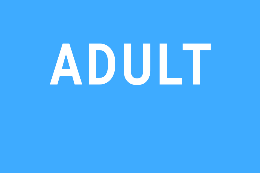 Adult Museum Ticket