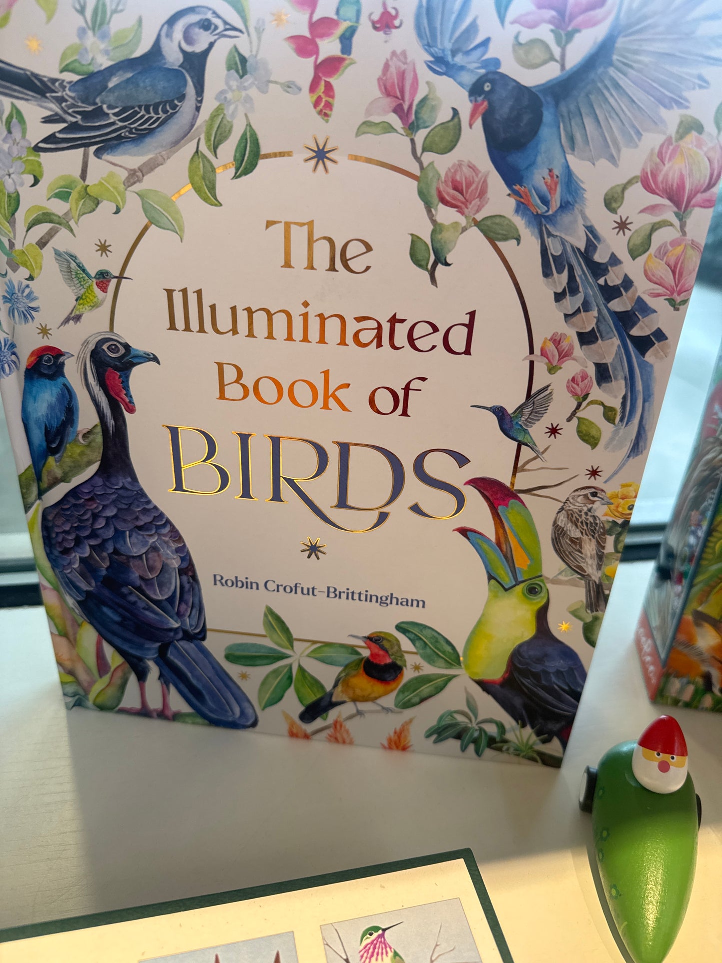 Illuminated Book of Birds
