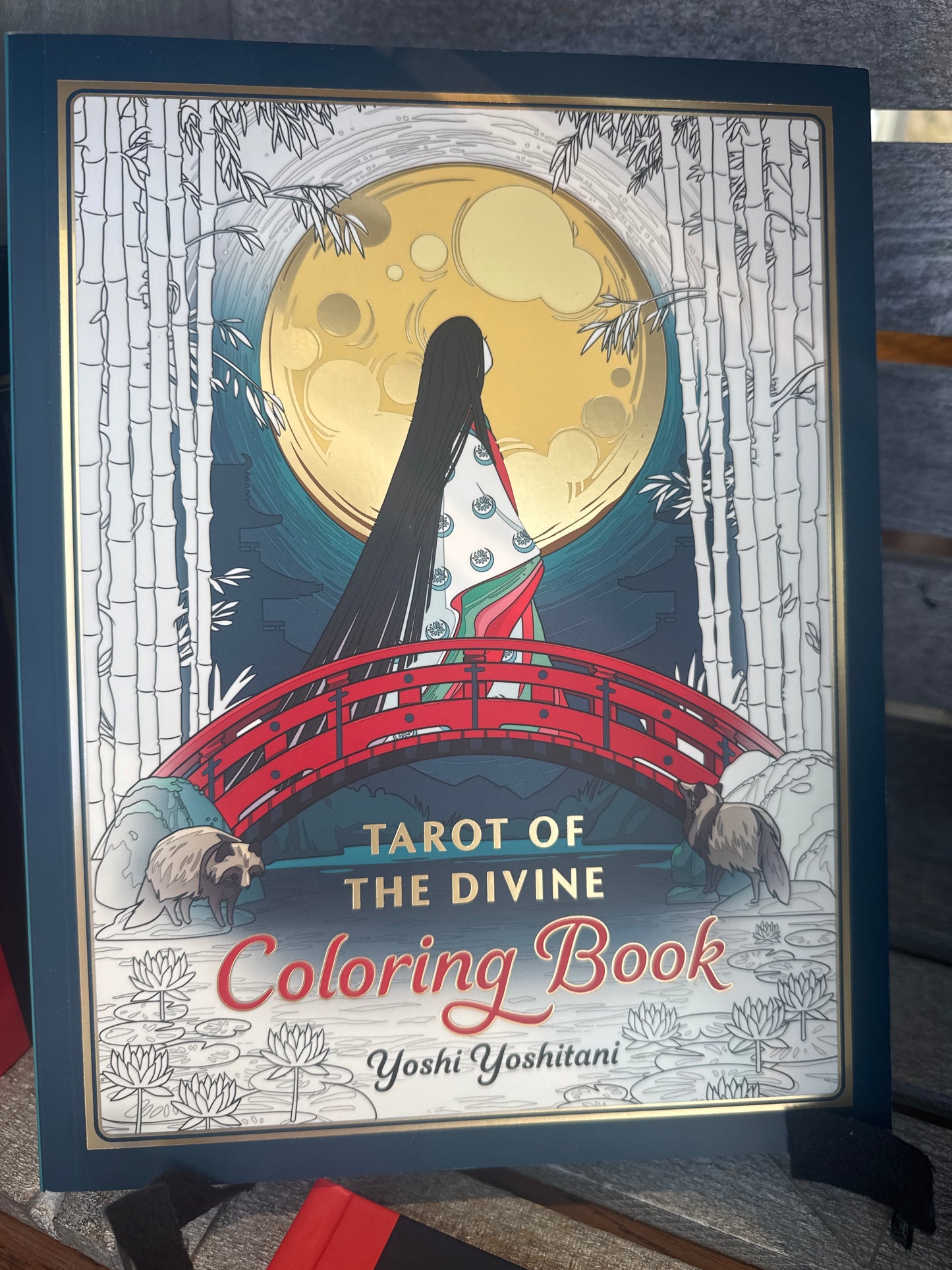 Tarot of the Divine - Coloring Book
