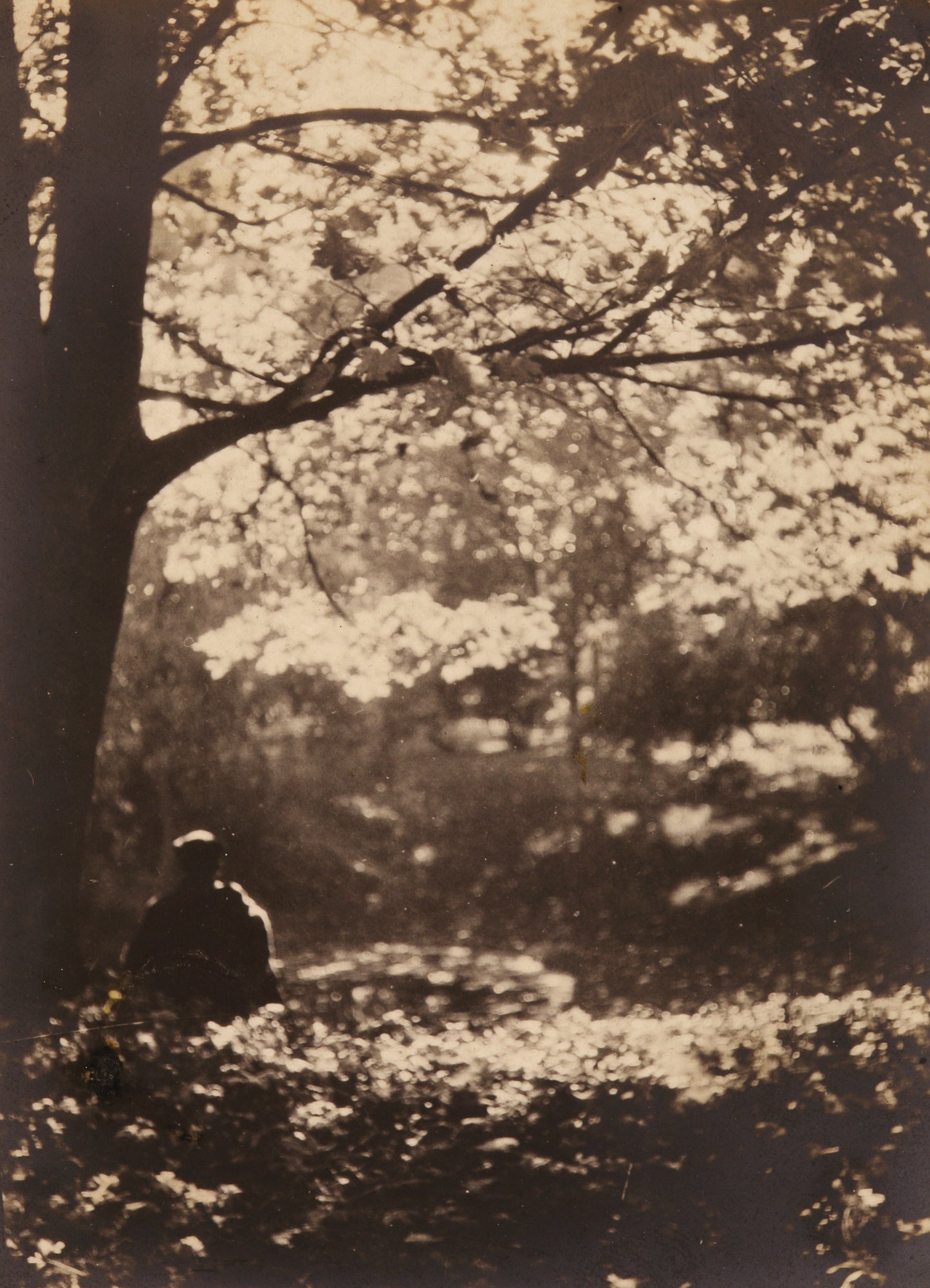 Invocation of Beauty: The Life and Photography of Soichi Sunami