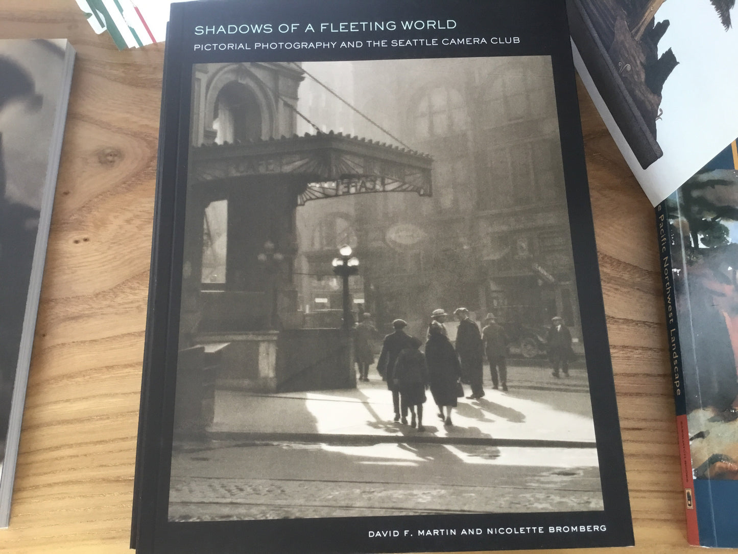 Shadows of a Fleeting World